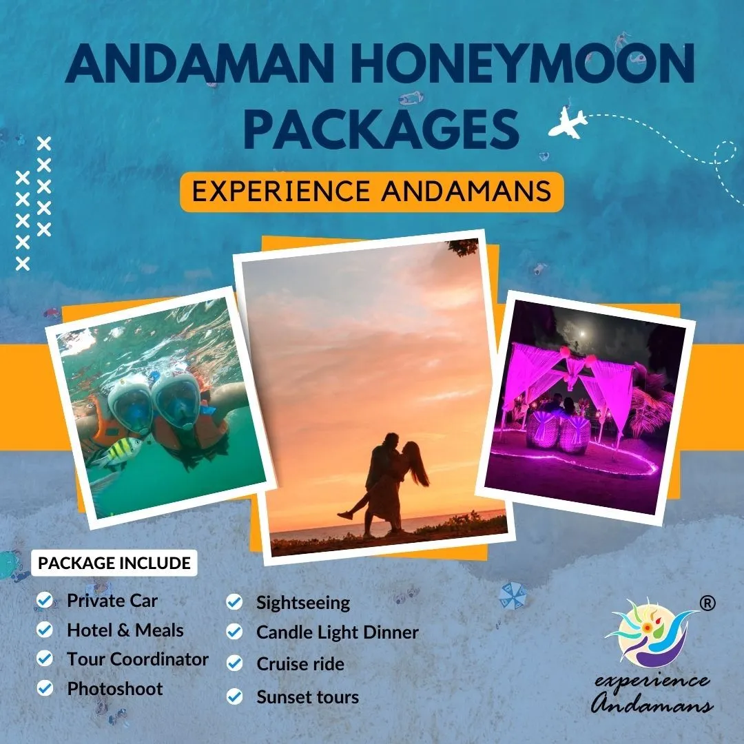 8718 honeymoon package comparison