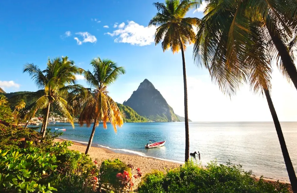 8724 andaman honeymoon