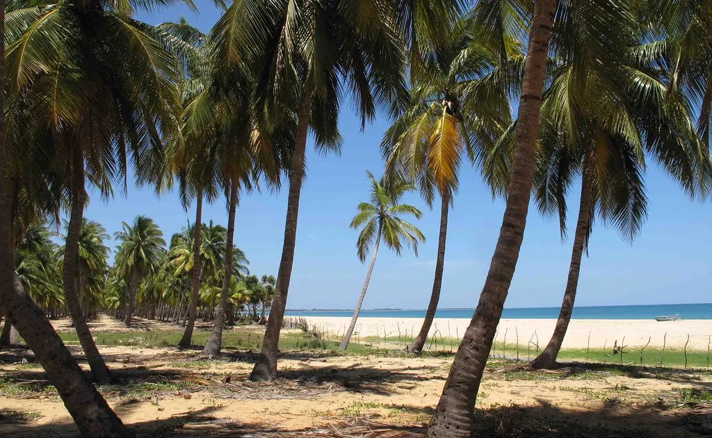 8738 romantic dinner beach
