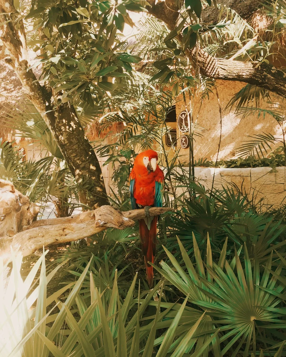 8741 cancun beach honeymoon