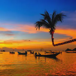 /img/8750-honeymoon-destination.webp