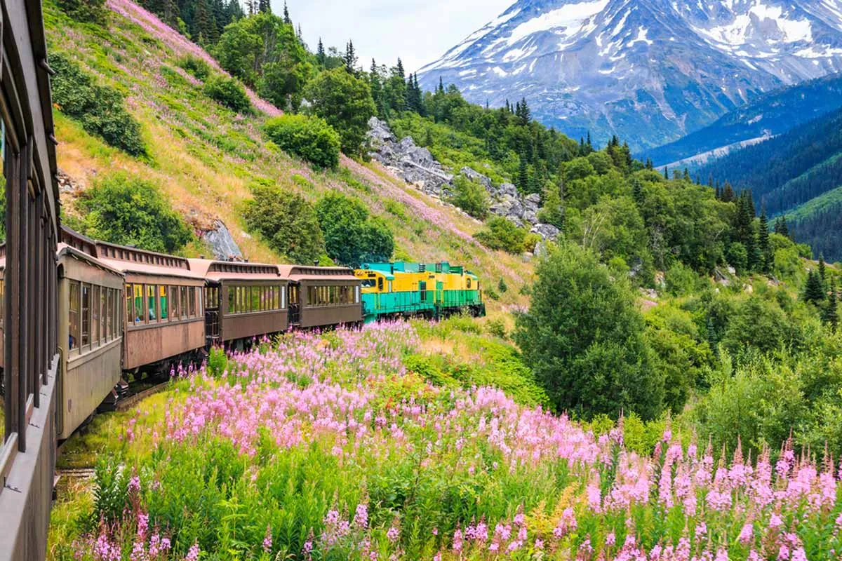 8760 alaska honeymoon packages image5