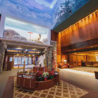 /img/8760-alaska-honeymoon-packages-image7.webp