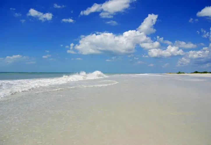 8774 sea island golf