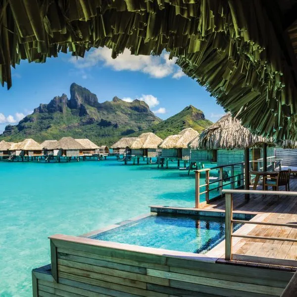 8780 fiji honeymoon dinner