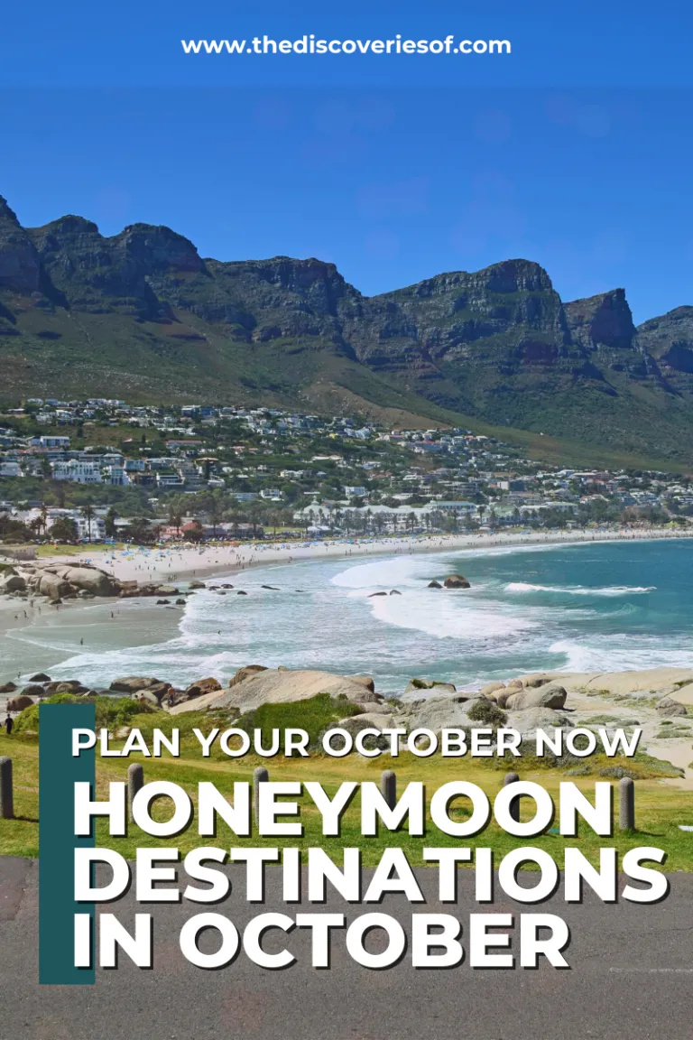 8783 maui honeymoon