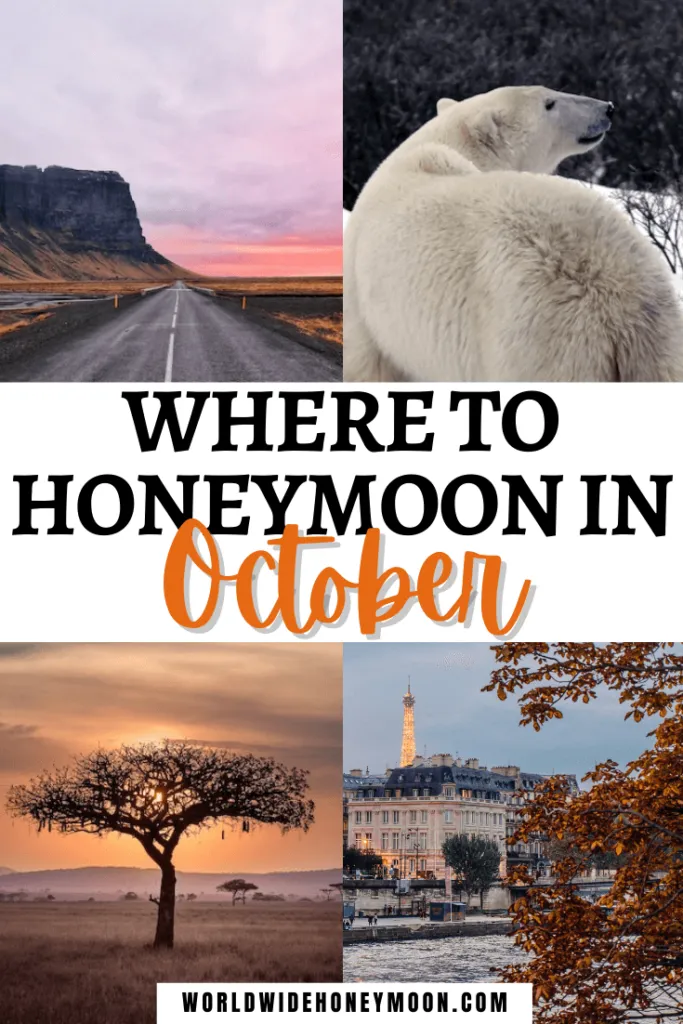 8783 national parks honeymoon