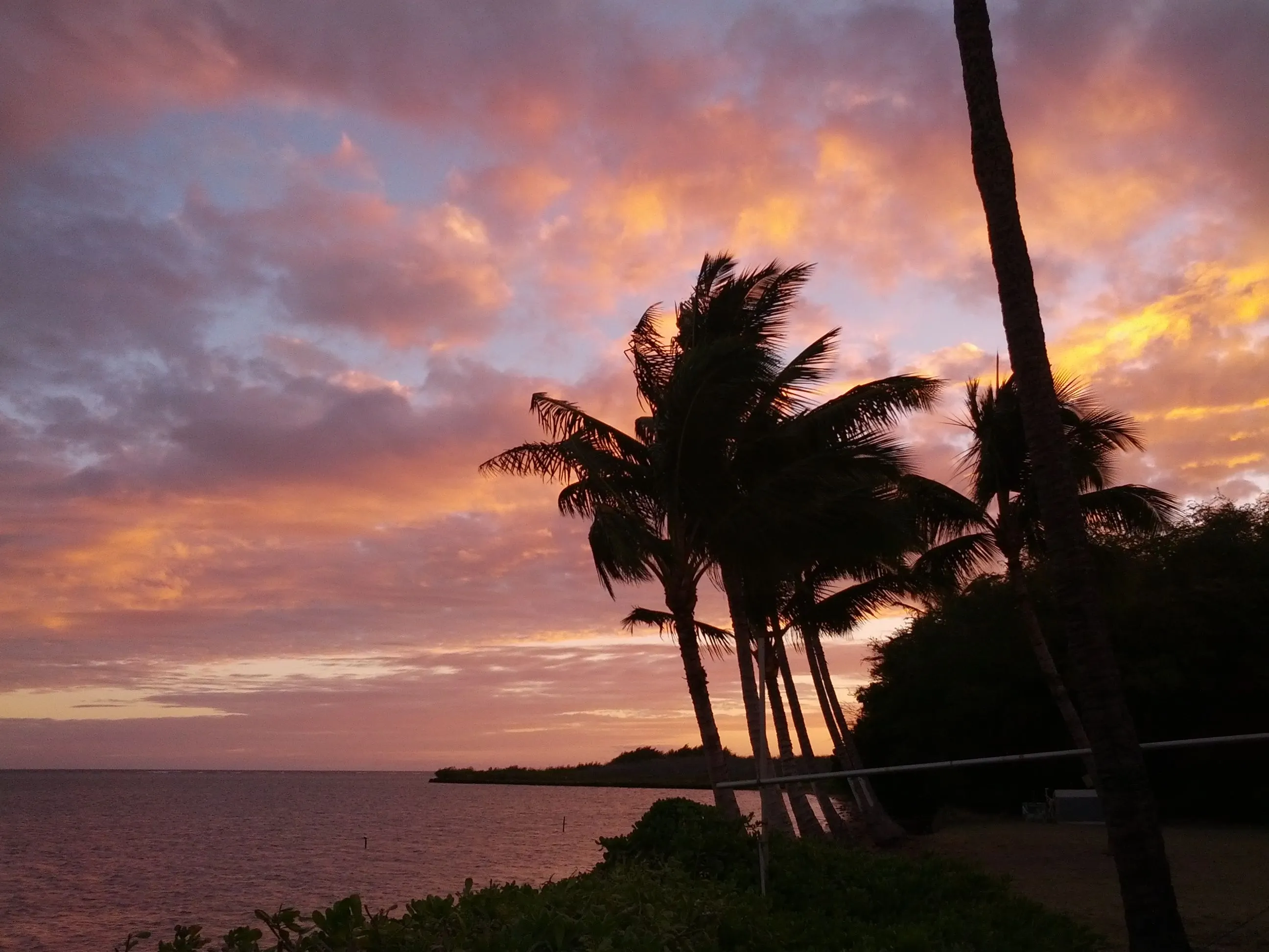 /img/8788-molokai-honeymoon-resort.webp
