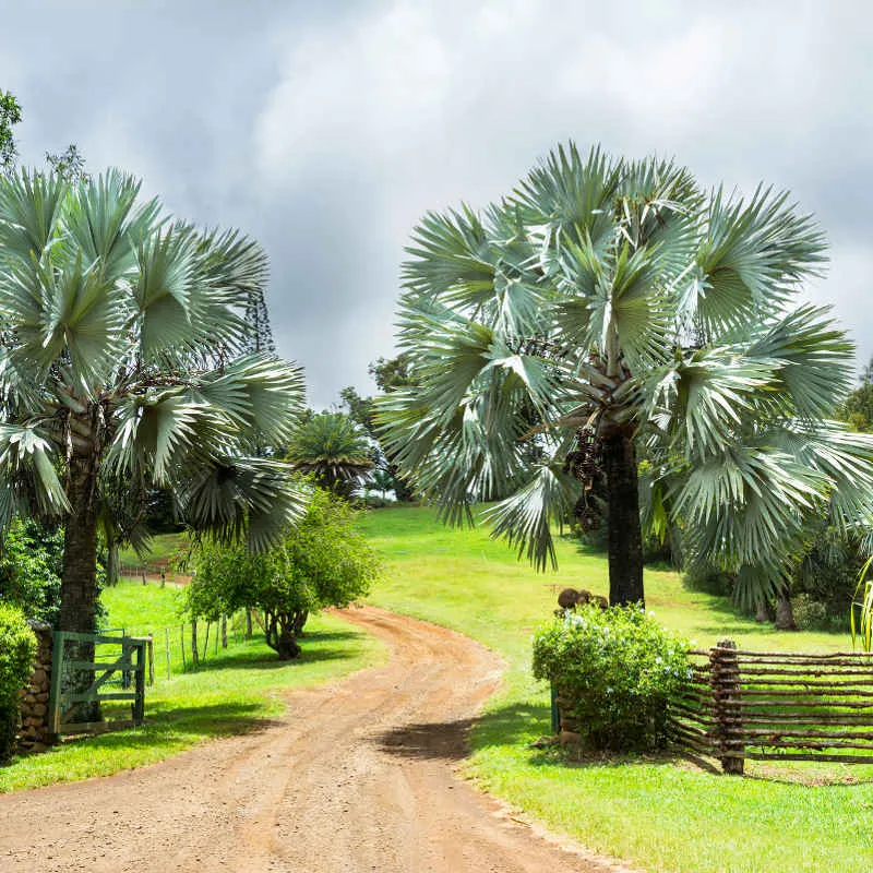 8788 molokai honeymoon spa