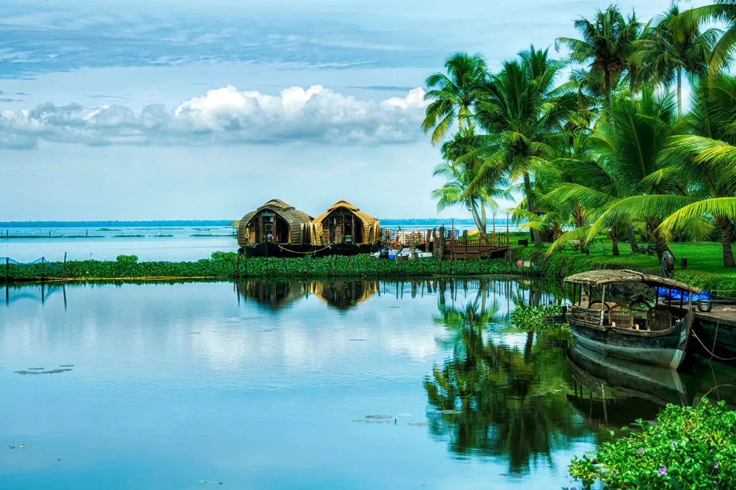 8790 alleppey backwaters houseboat