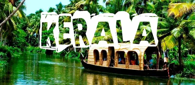 8790 kerala traditional food