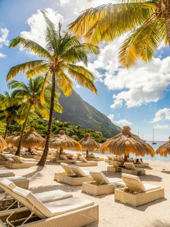 8793 jamaica honeymoon