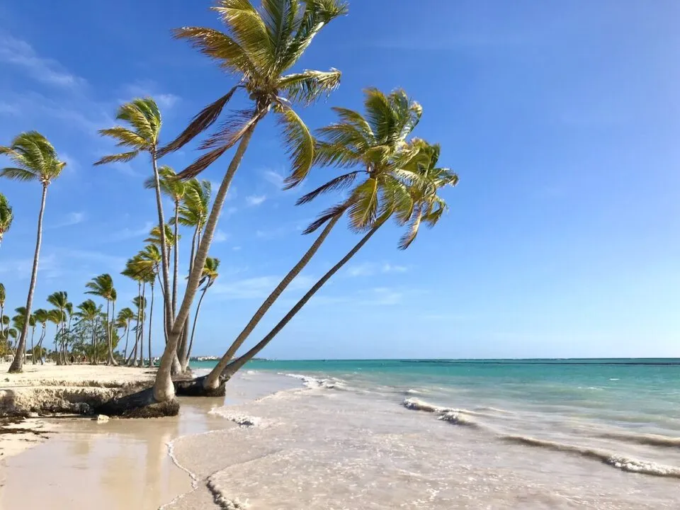 8793 st lucia honeymoon
