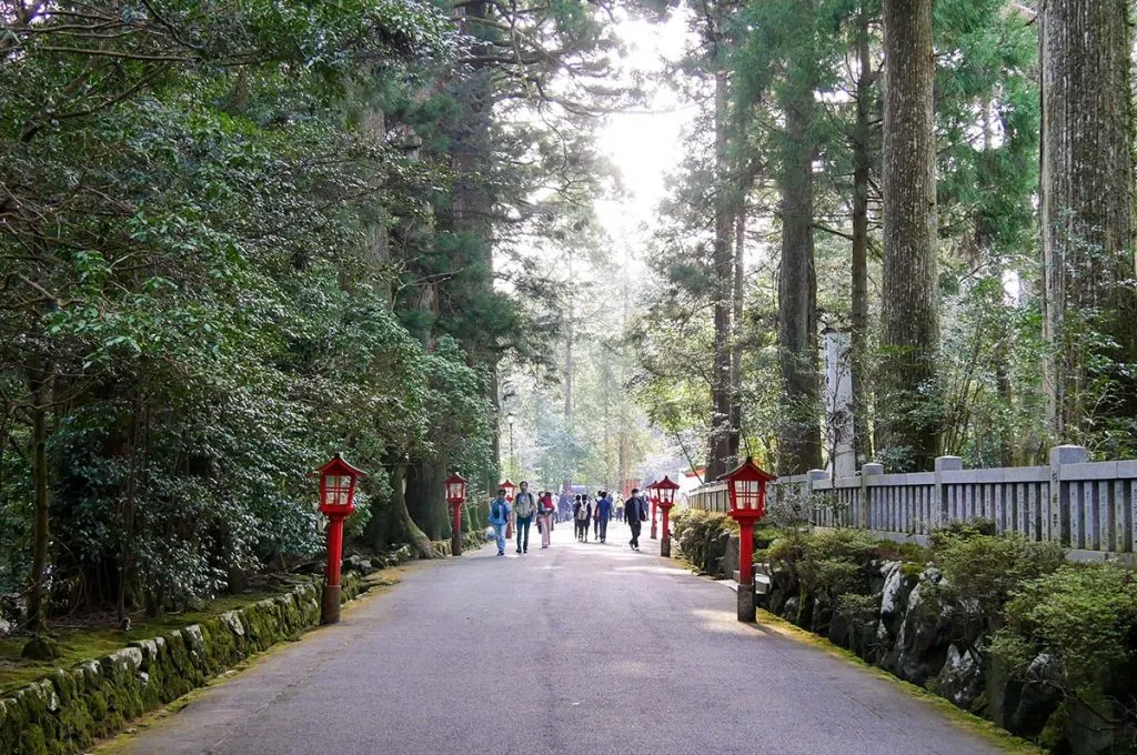 8795 hokkaido honeymoon