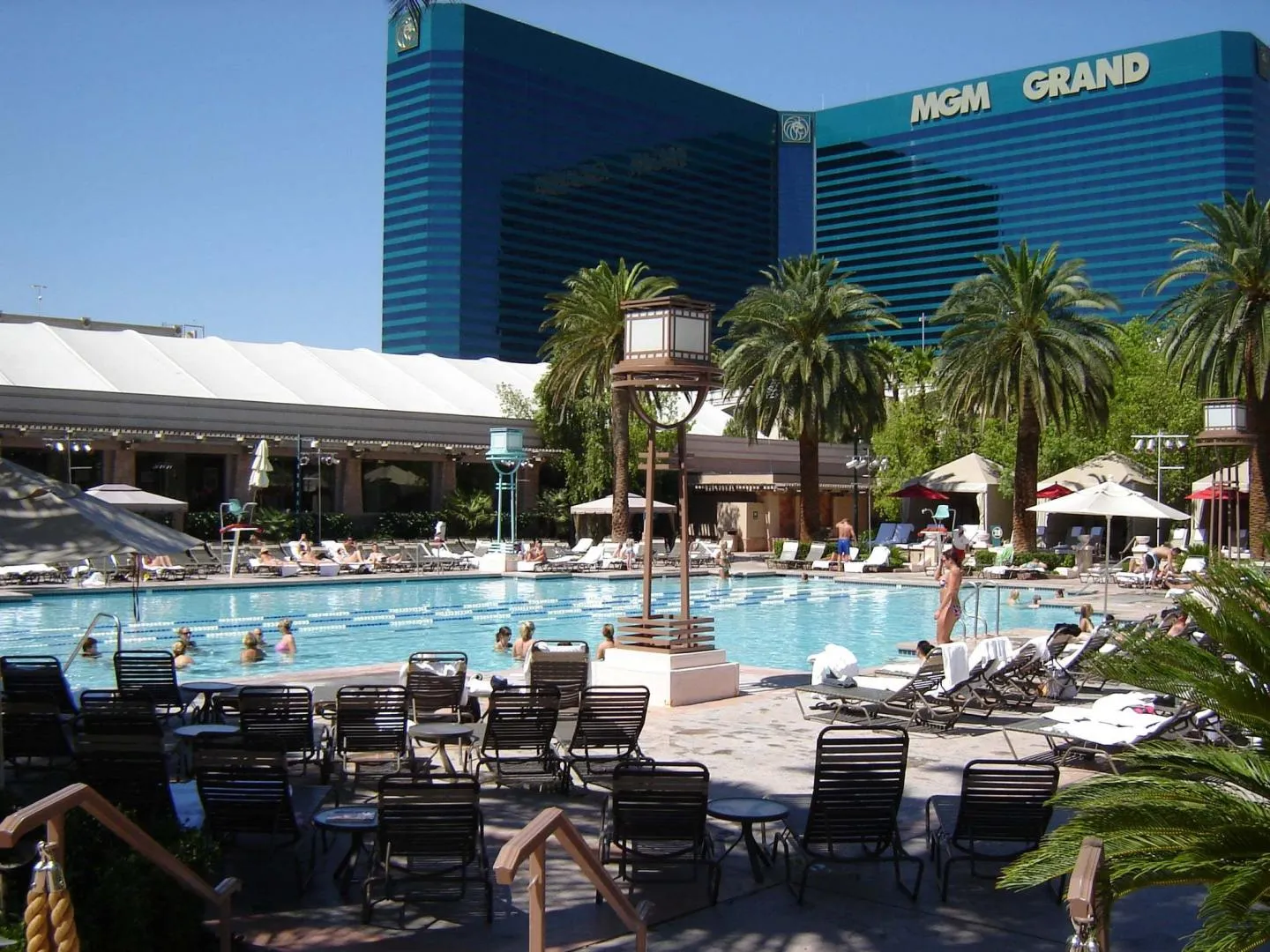 8798 vegas honeymoon couple