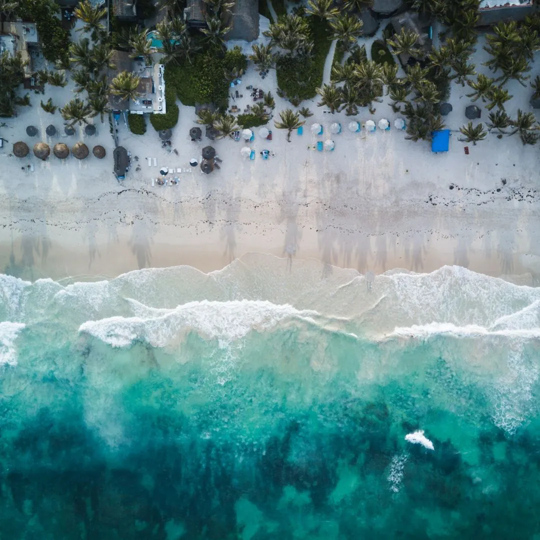 8804 mexico honeymoon planning