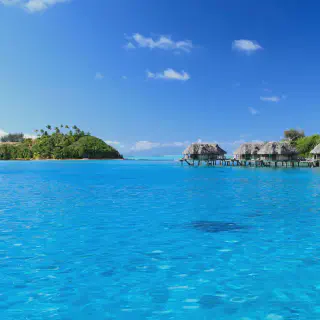 /img/8808-tahiti-honeymoon-snorkeling.webp