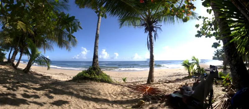 8831 maracas bay