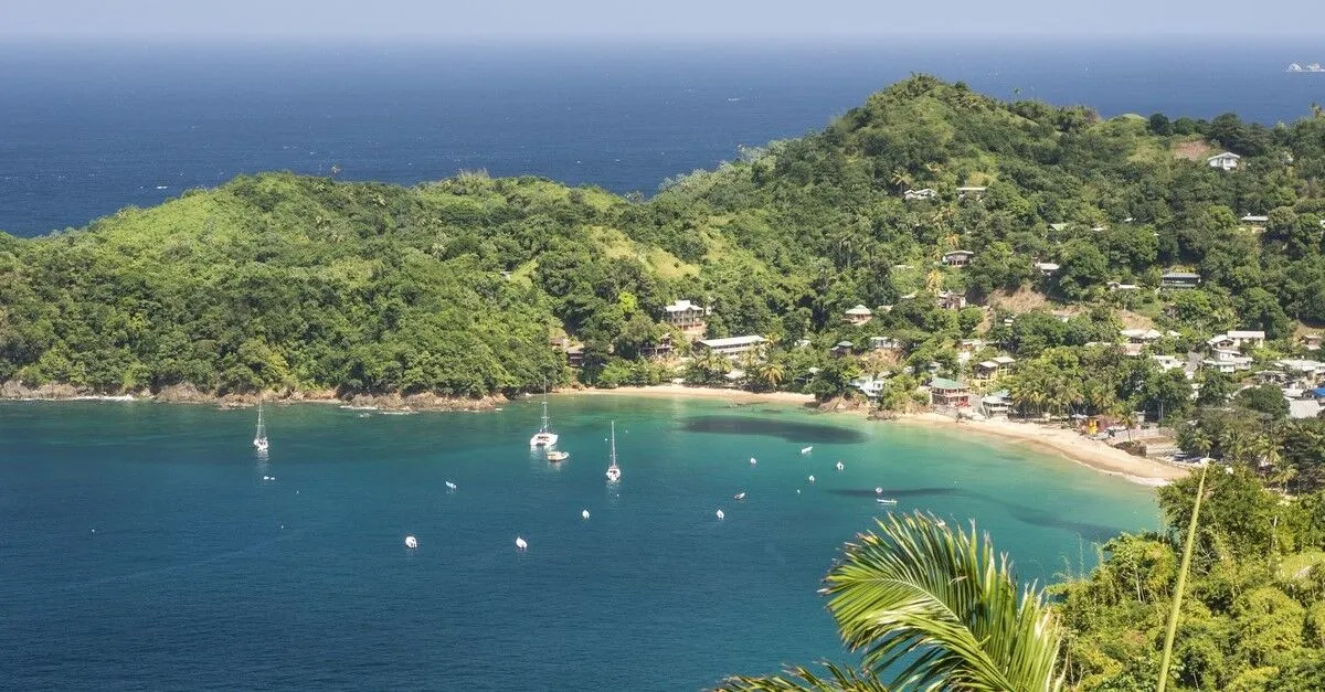8831 tobago rainforest