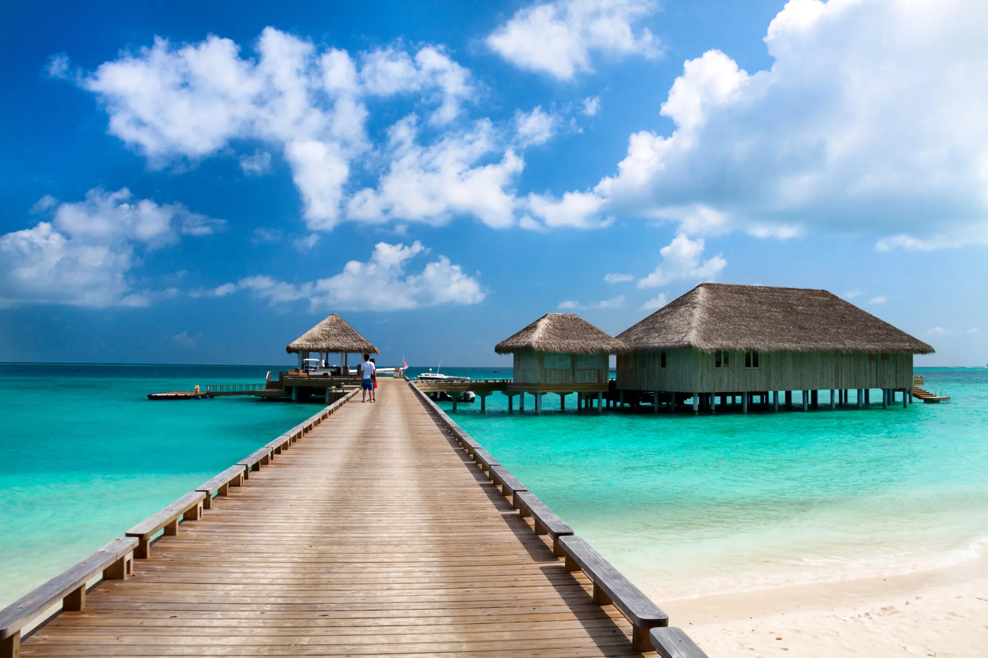 8836 bali honeymoon