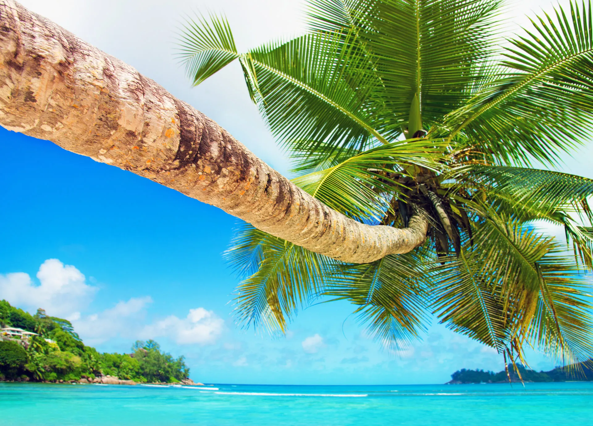 8836 bora bora honeymoon