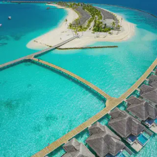 /img/8836-couple-honeymoon.webp