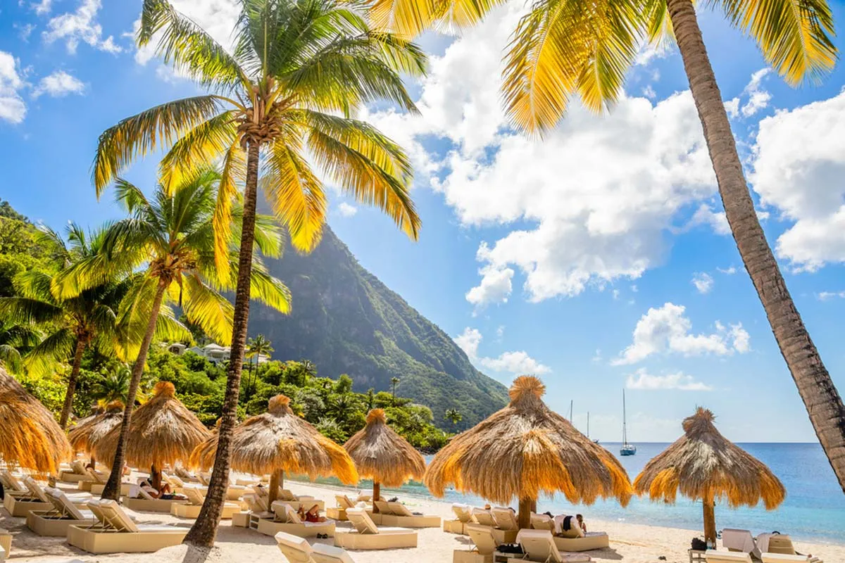 8836 tropical beach