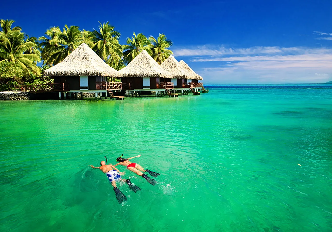 8841 bali honeymoon