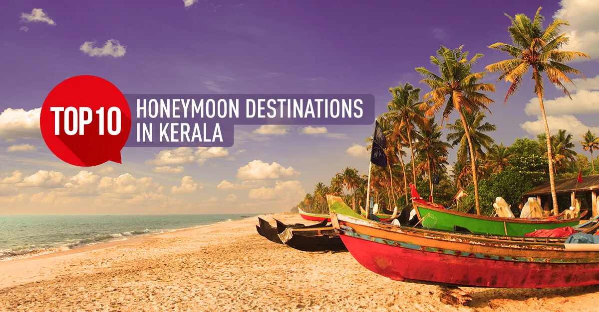 8842 kovalam beach
