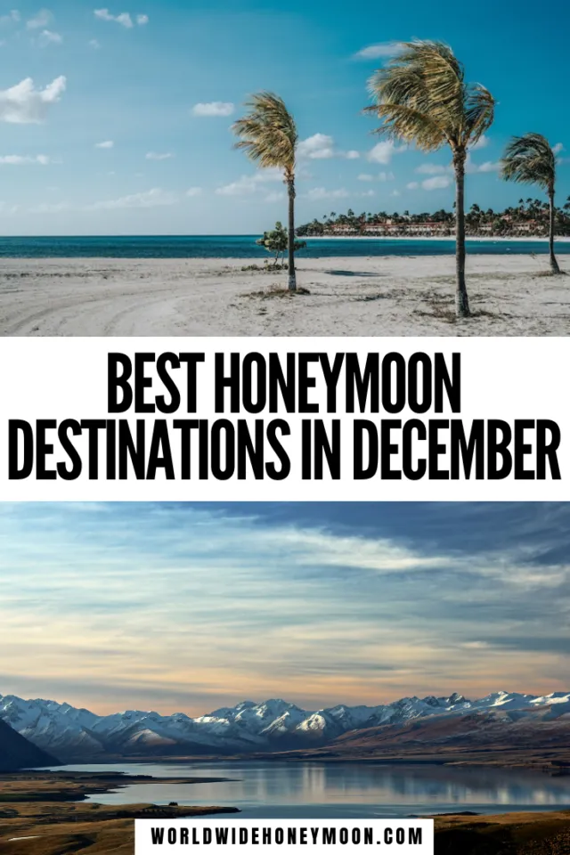 8843 winter wonderland honeymoon