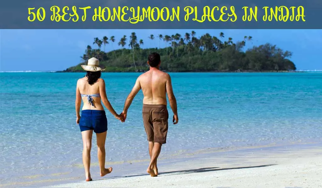 8864 udaipur honeymoon