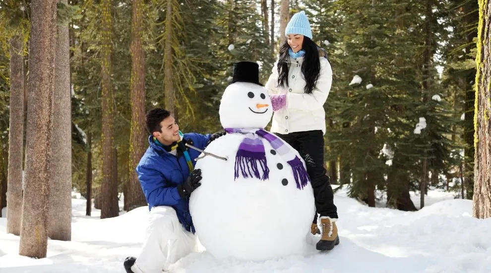 8866 manali honeymoon resort