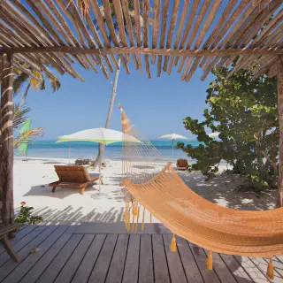 /img/8868-honeymoon-couple.webp