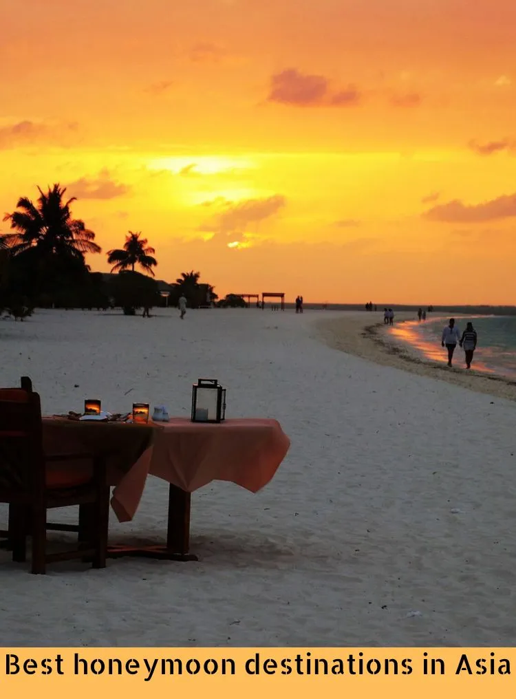 /img/8869-honeymoon-packing.webp