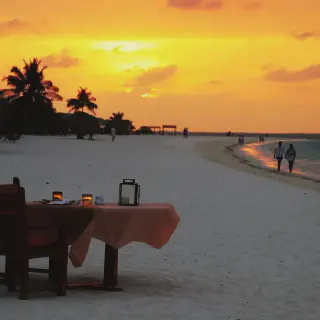 /img/8869-honeymoon-packing.webp