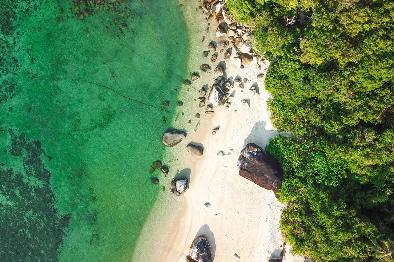 8876 koh tao diving