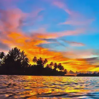 /img/8881-couple-travel.webp