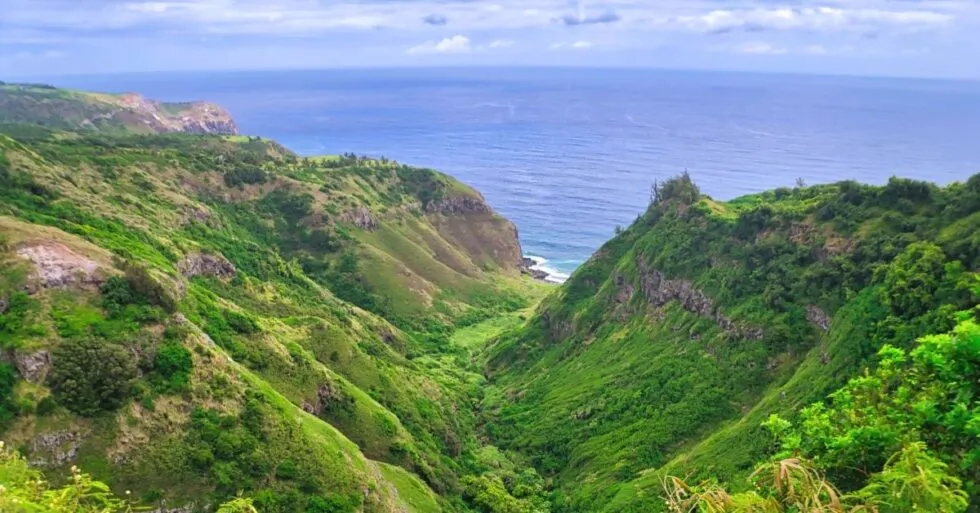 8884 maui honeymoon