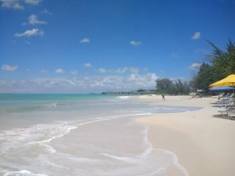8897 bali honeymoon