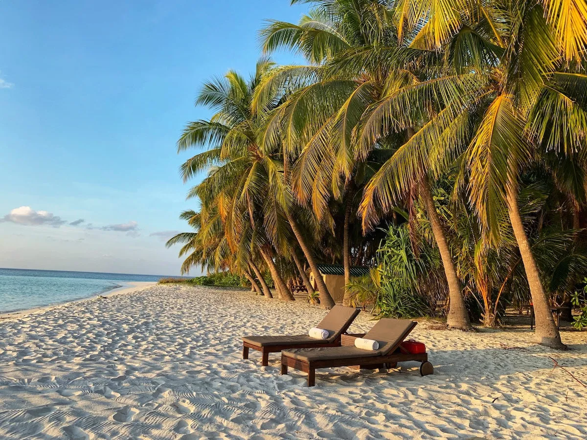 8911 honeymoon destination florida