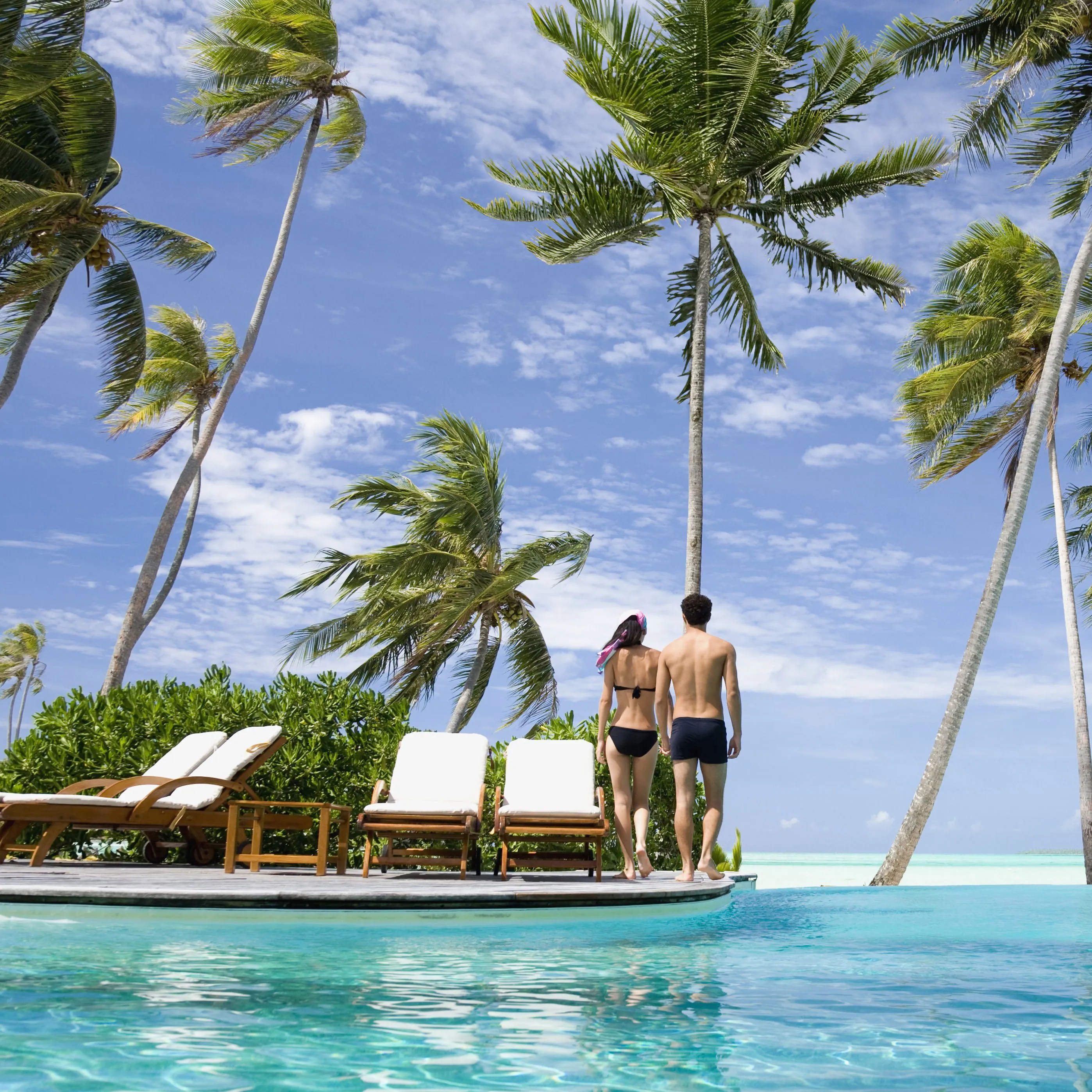 8911 romantic dinner honeymoon