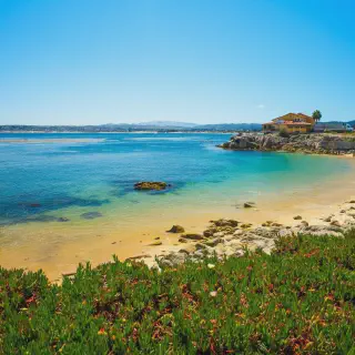/img/8917-monterey-17-mile-drive.webp